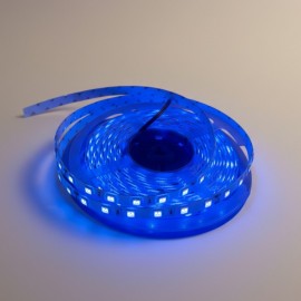 12V Mavi Şerit Led Dış Mekan Silikonlu